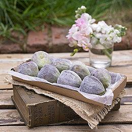 《死者桑拿》开启众筹 魔界桑拿师题材动作RPG